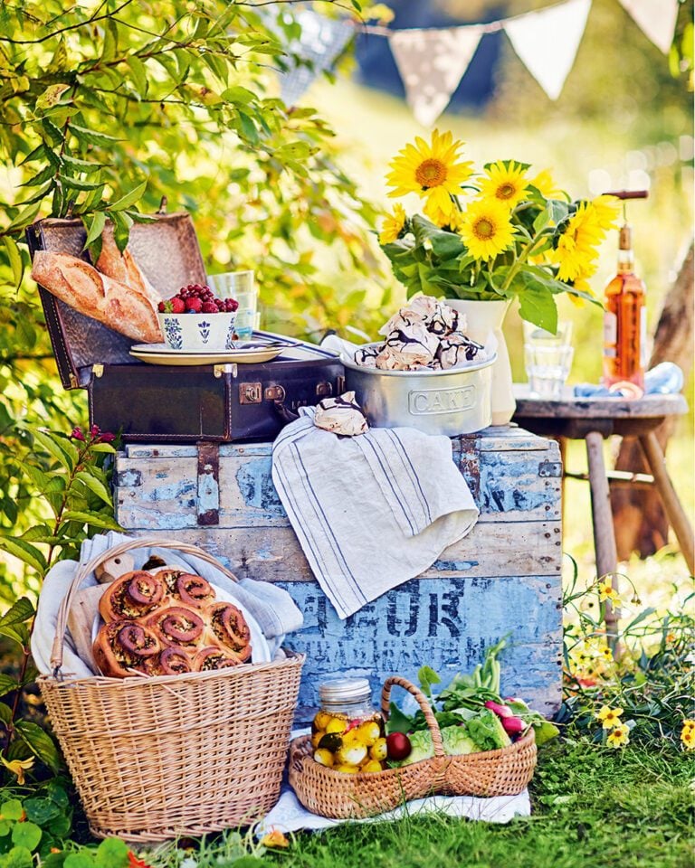 What to bring to a picnic: the ultimate recipe guide